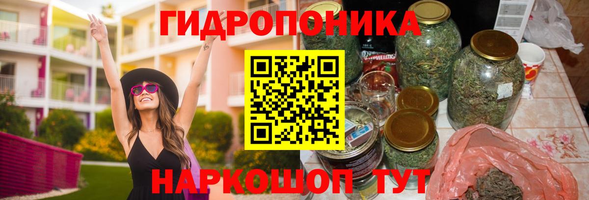 Волхов  Марихуана конопля  МАРИХУАНА ГИДРОПОН  Вход с VPN  МАРИХУАНА VHQ 